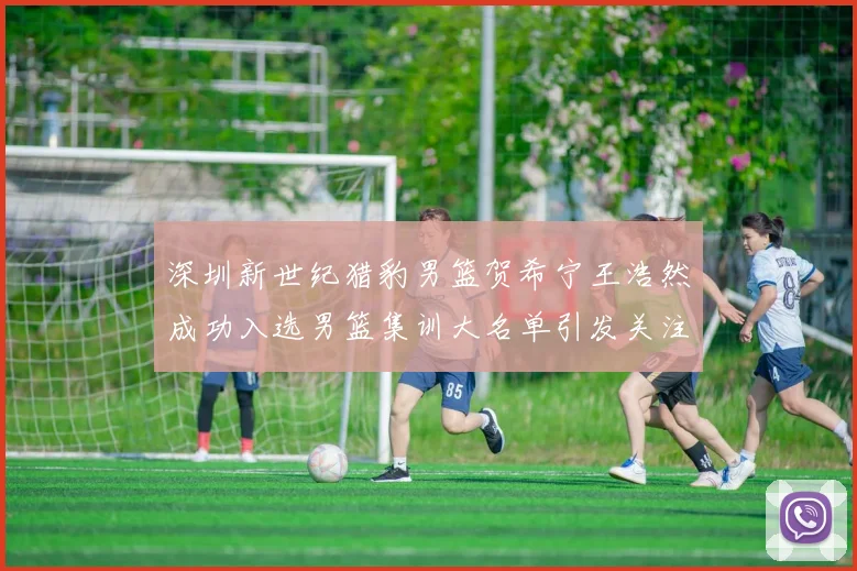 深圳新世纪猎豹男篮贺希宁王浩然成功入选男篮集训大名单引发关注